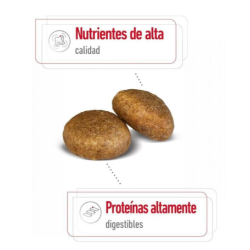 Royal Canin Maxi Adult pienso para perros