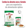 Royal Canin Mini Adult pienso para perros